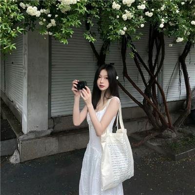 容易受伤的玫瑰